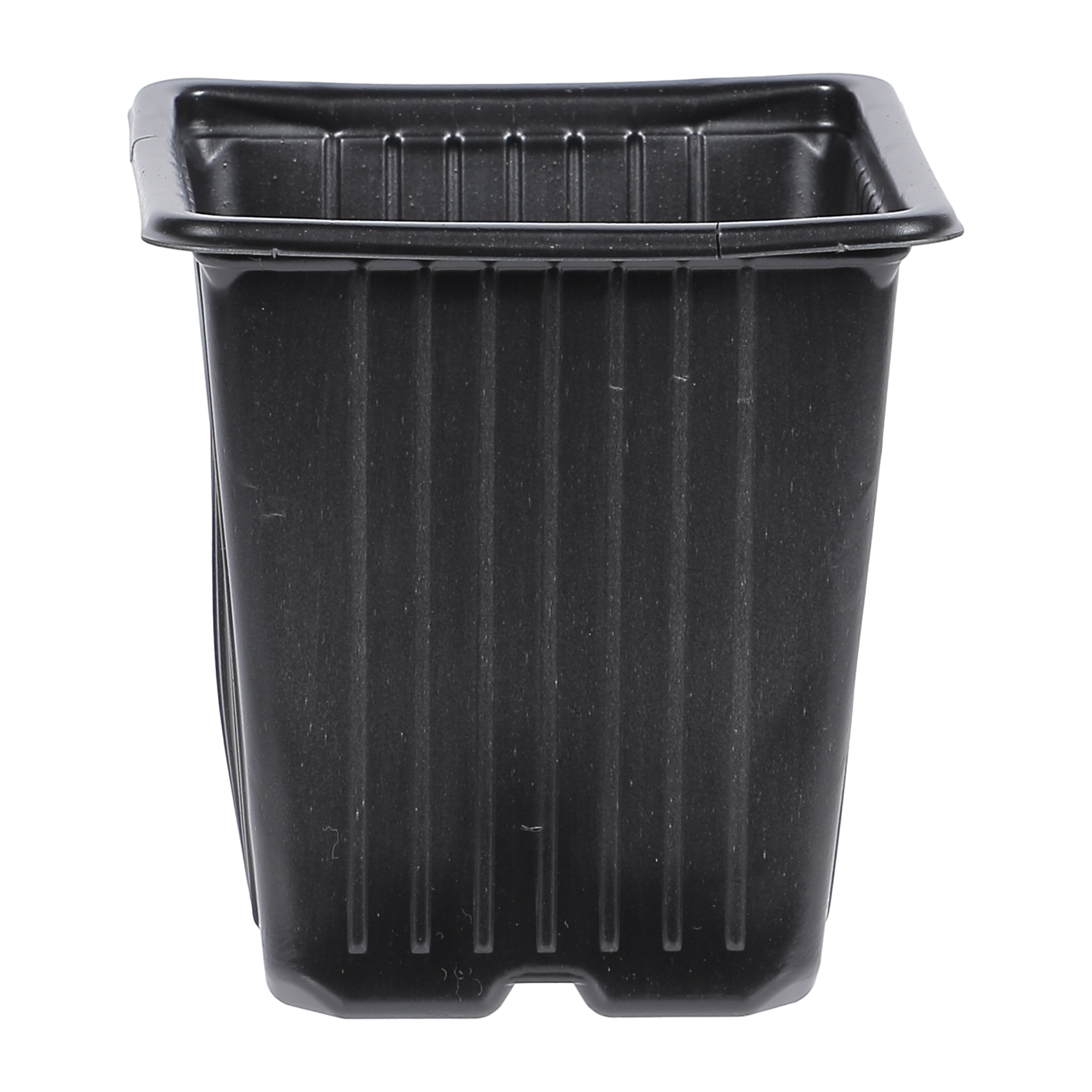 Lot de 12 pot de pépinières