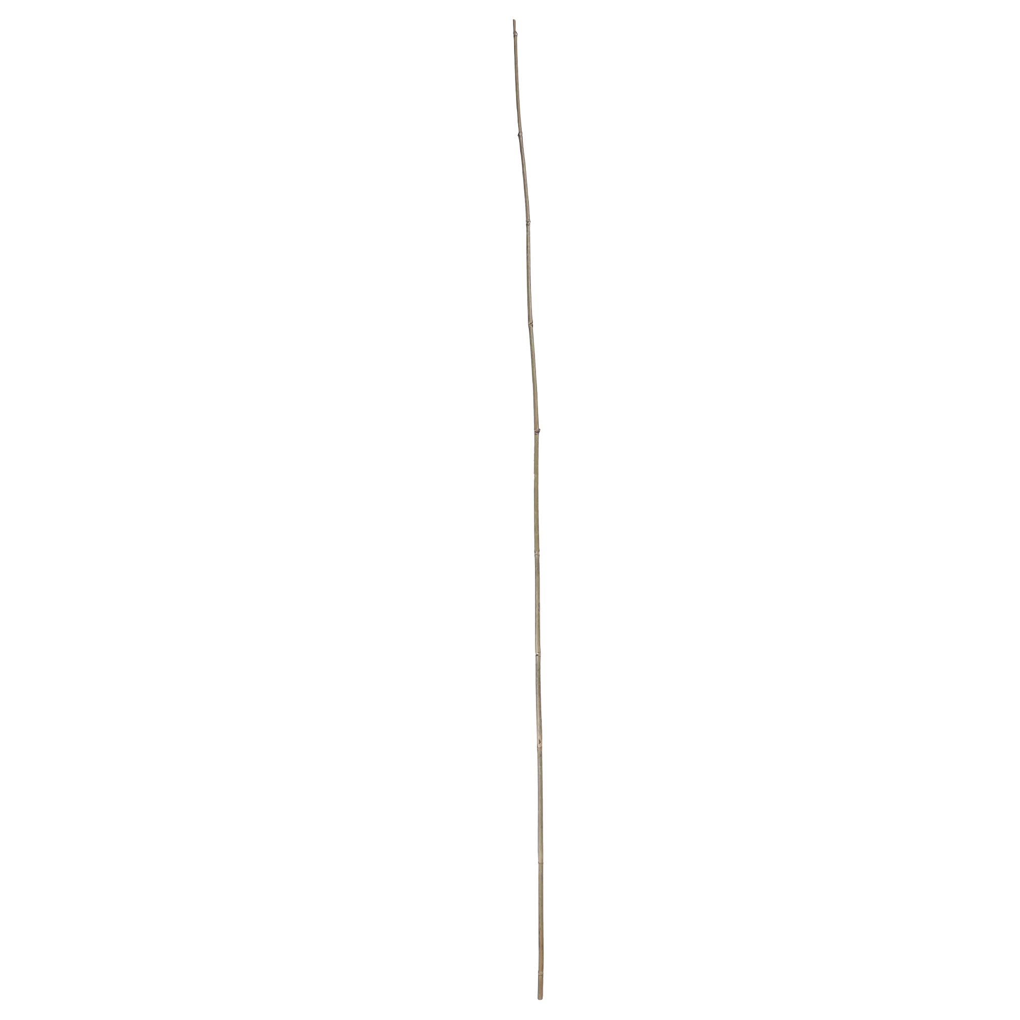 Tuteur de jardin en bambou 120 cm