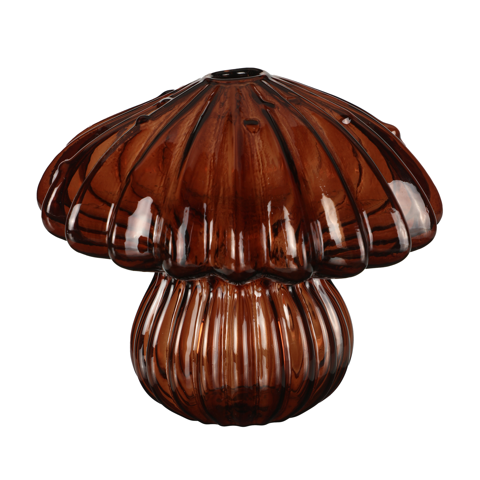 Soliflore forme champignon