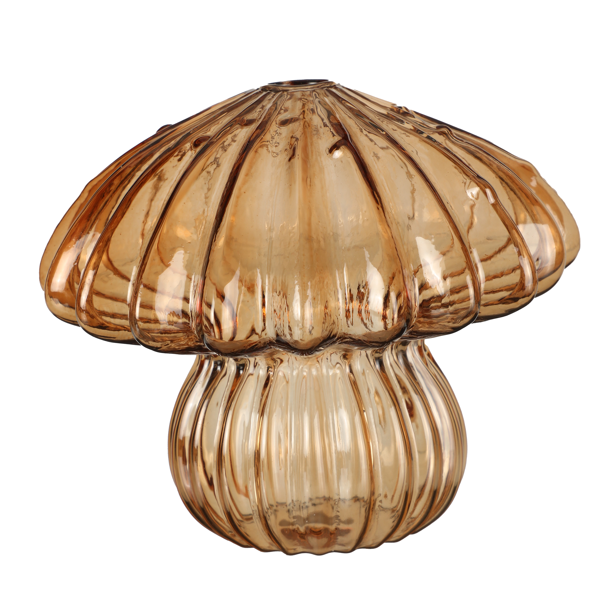 Soliflore forme champignon
