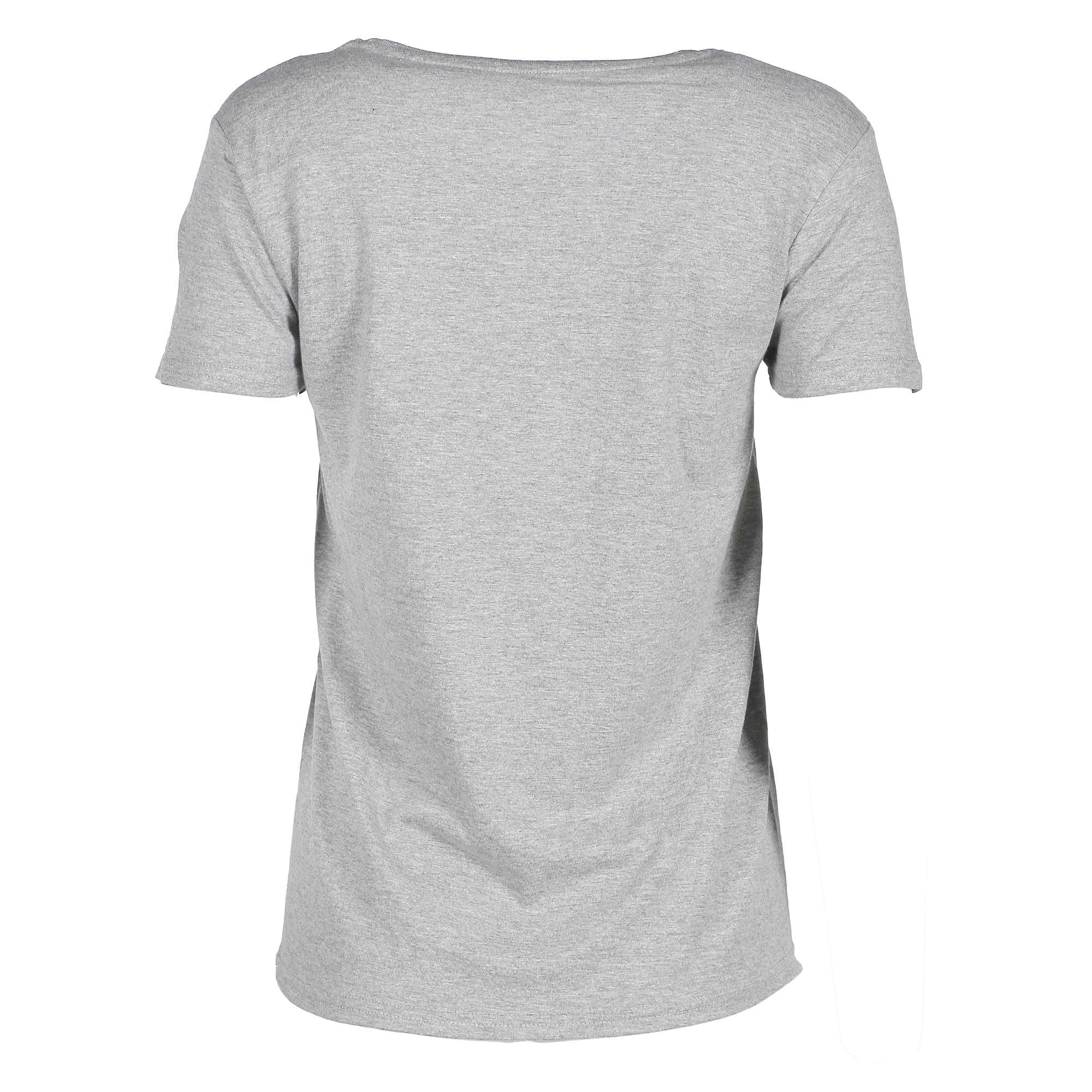 Tee-shirt licence  - Gris