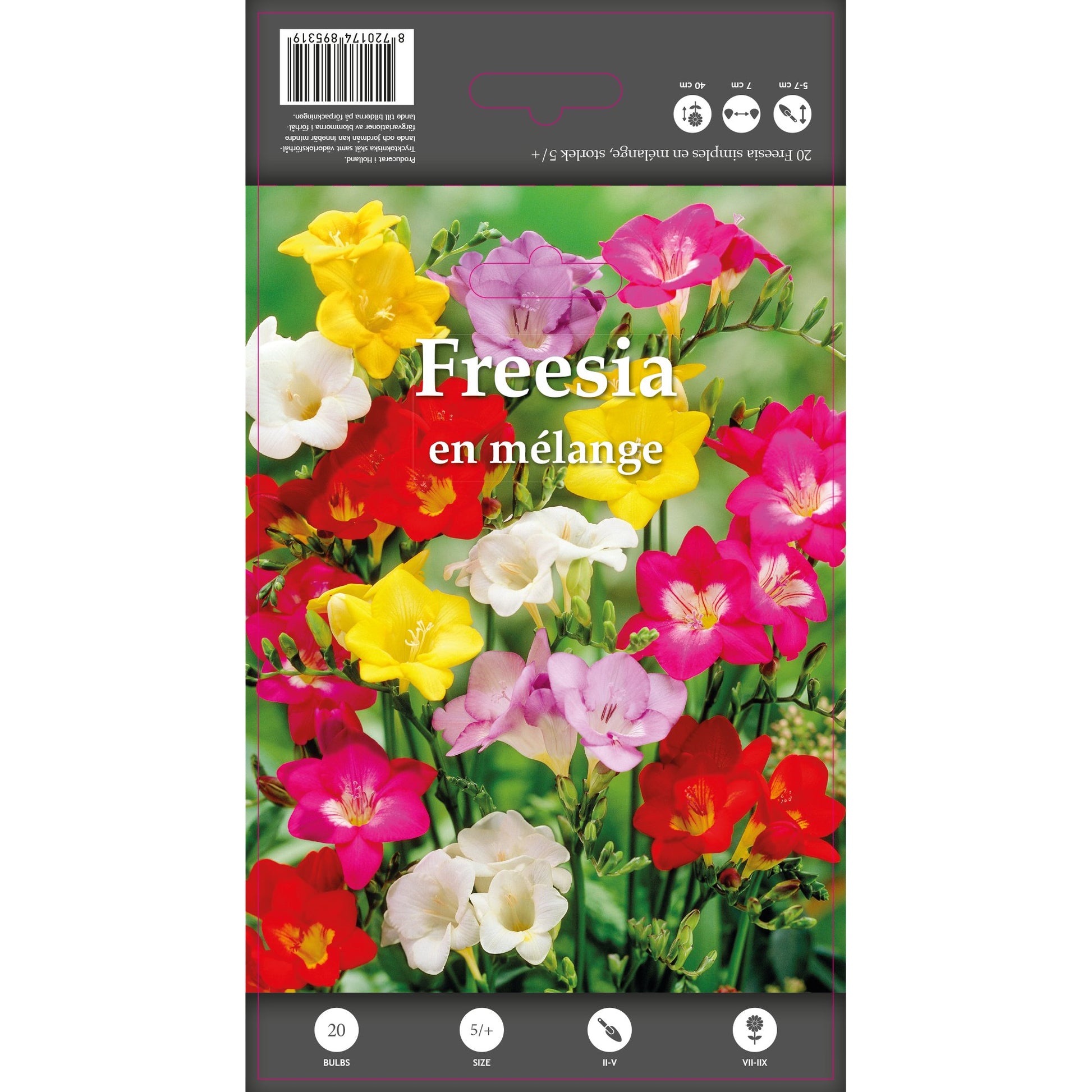 POS000_optimized_6985cdc859421_2026-02-06_11-17-28.jpg