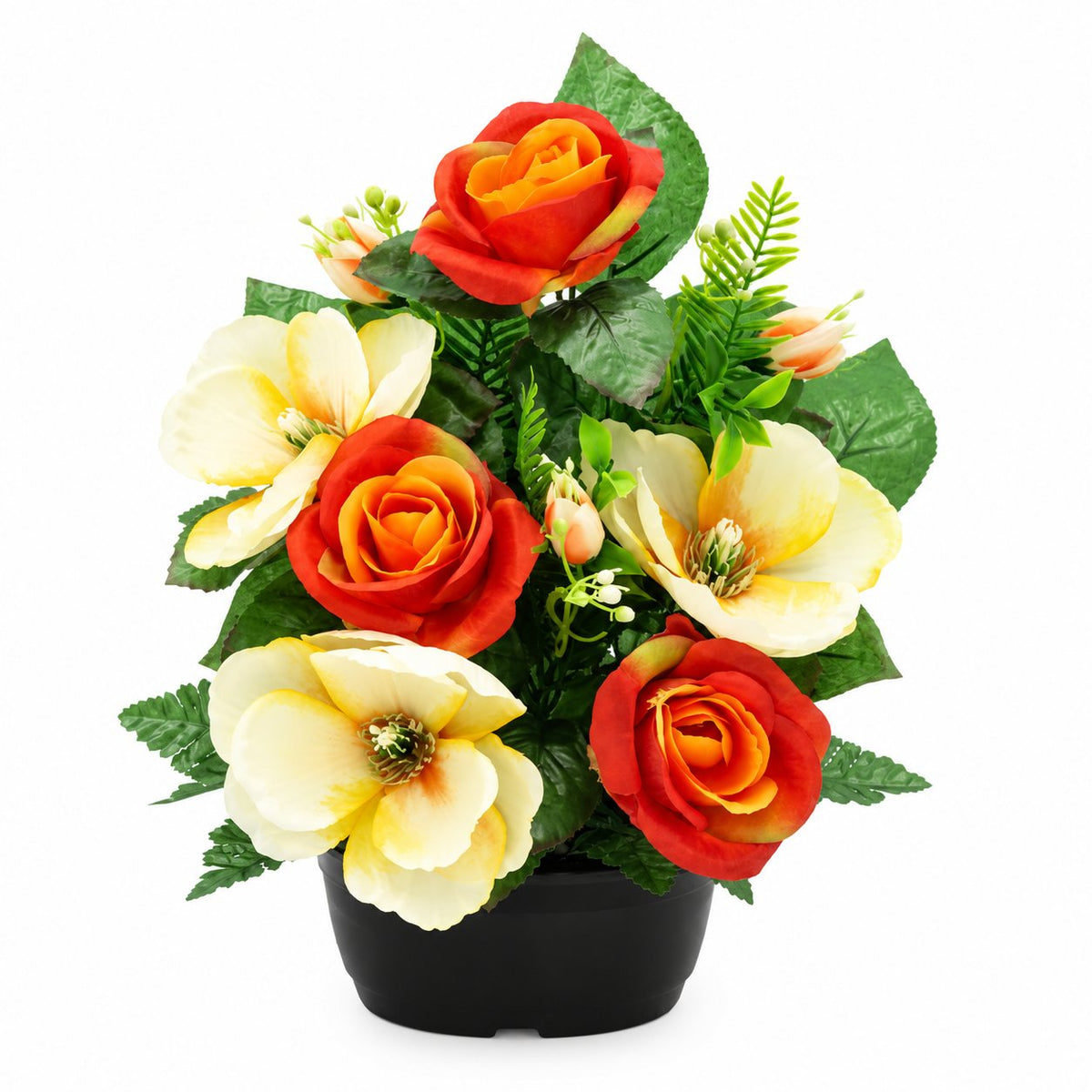POS000_optimized_6aacea43eb27c_2026-09-18_07-37-39.jpg